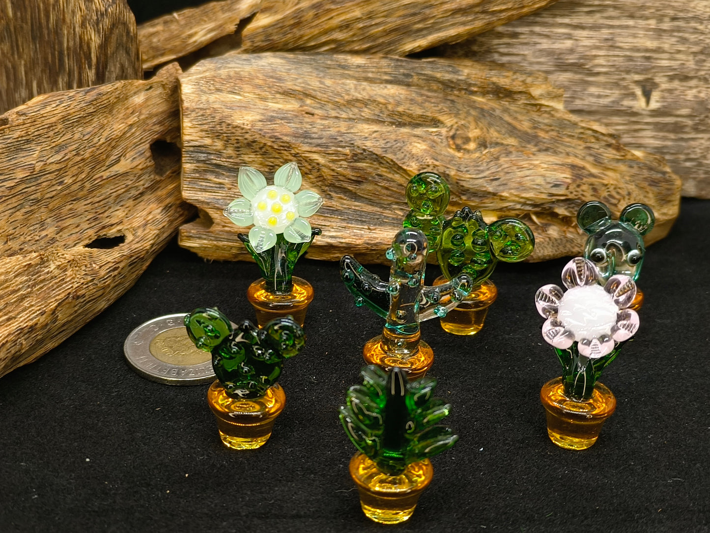 Plant Party