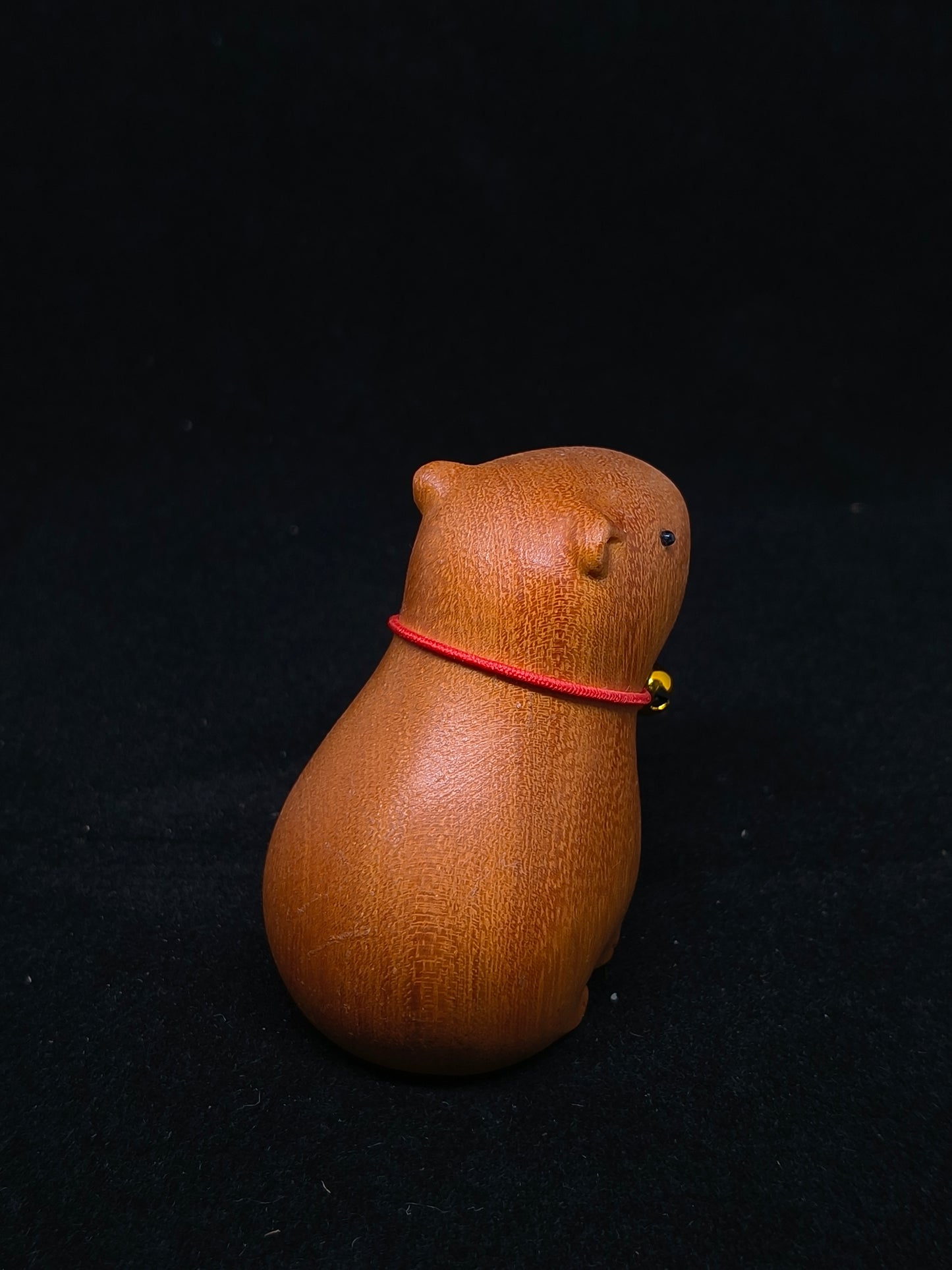 Capybara