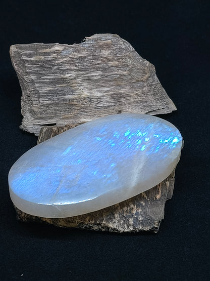 Isn't this a piece of soap