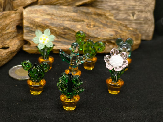 Plant Party